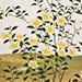 Zaichu Hara Gallery